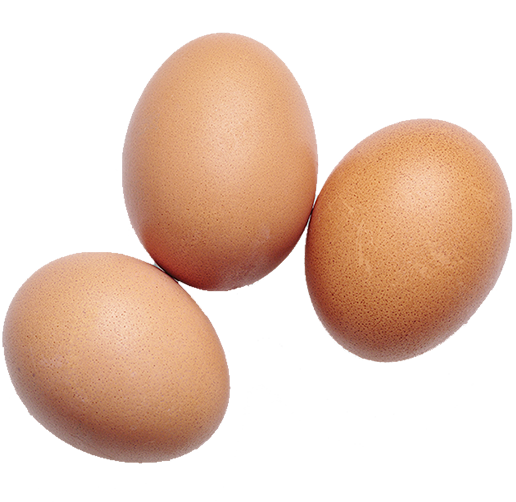 Eggs Eggs