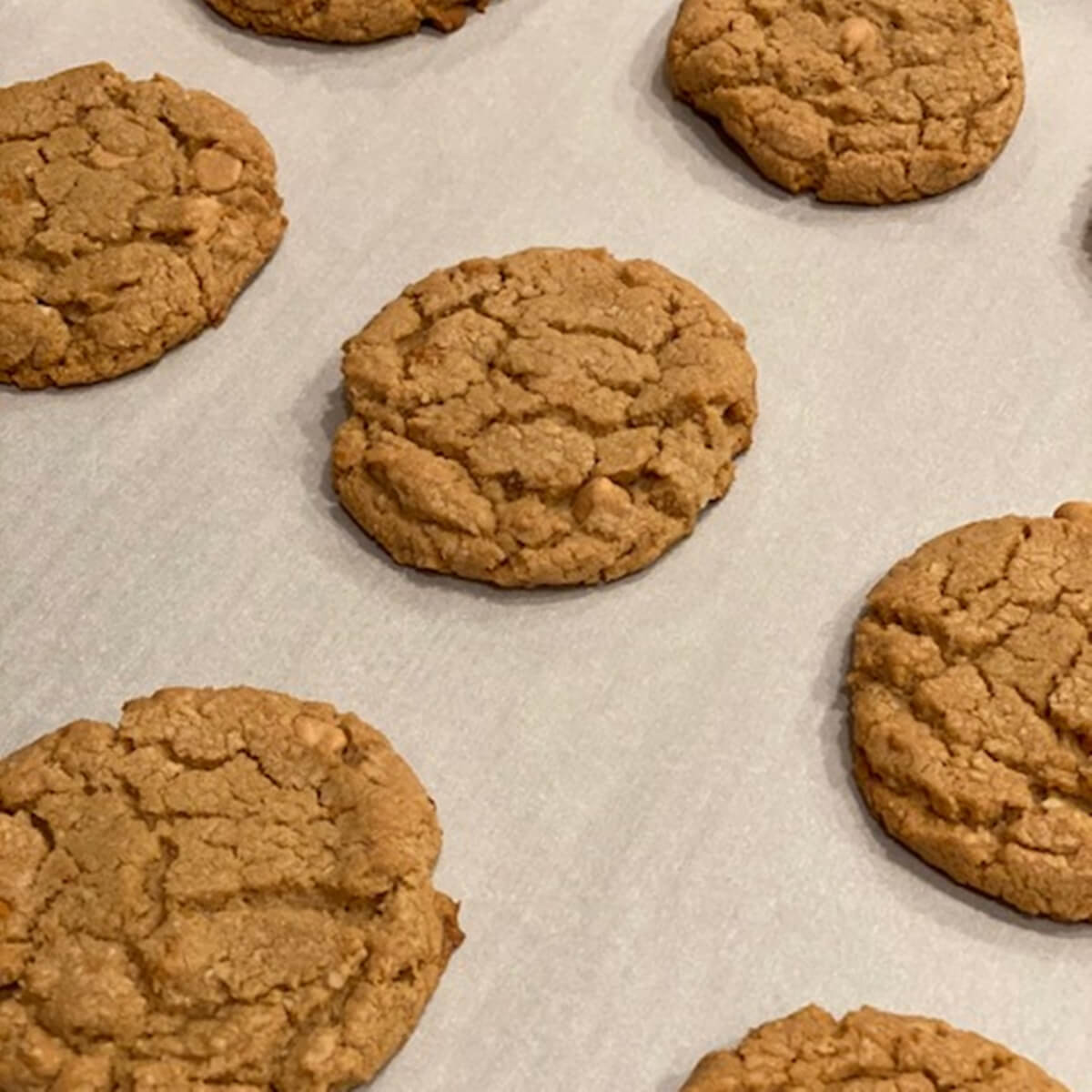 peanut-butter-cookies